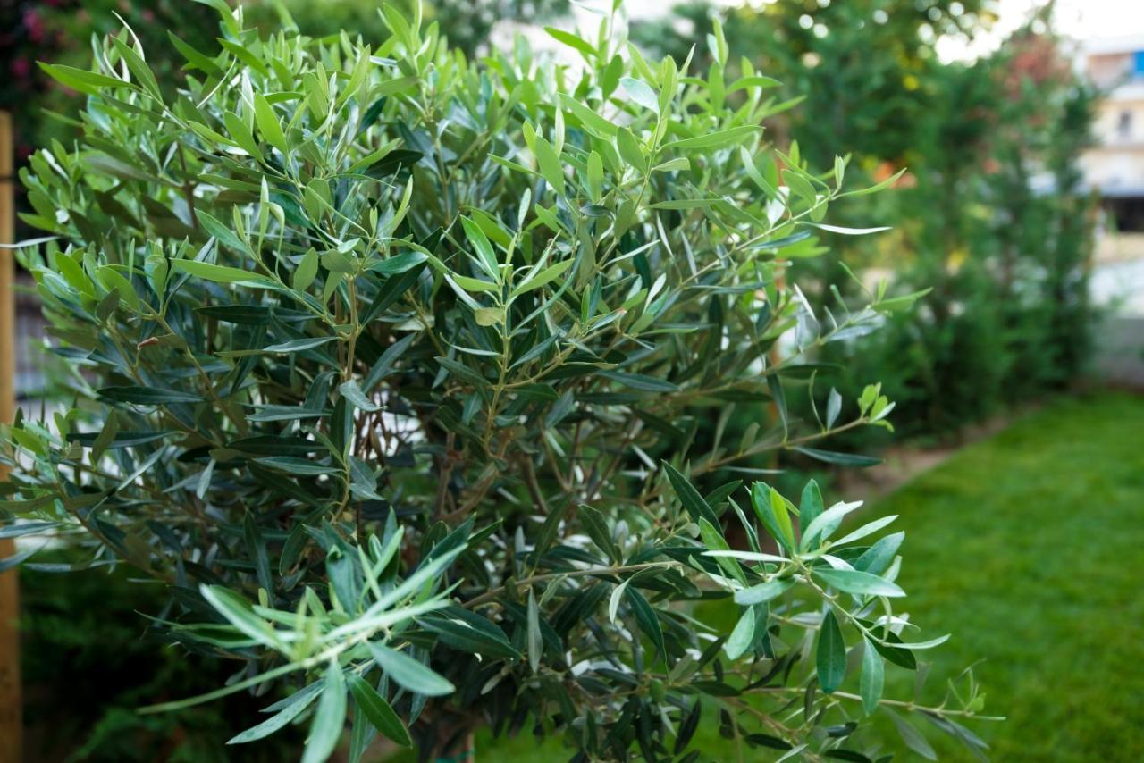 Olive 201 Daire Peraía Dış mekan fotoğraf